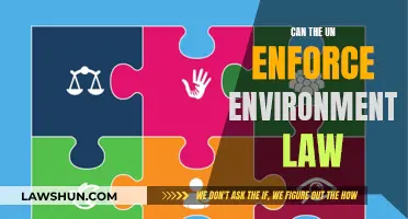 UN's Environmental Law Enforcement: Effective or Symbolic?
