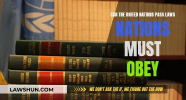 The United Nations: Global Lawmakers or Advisors?