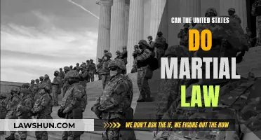 Martial Law in the US: Is It Possible?
