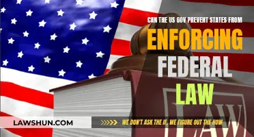 Who Governs Federal Law Enforcement: States or Central Power?