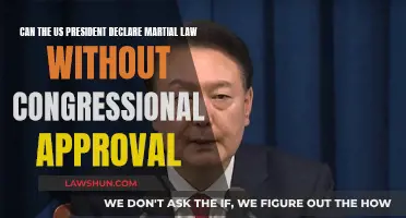 Martial Law: Can the US President Act Alone?