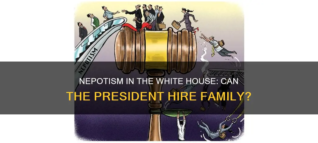 can the us president hire his son in law