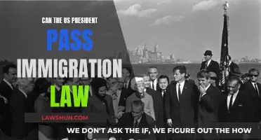 Presidential Power: Immigration Laws and Limits