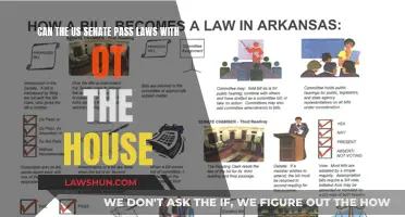 Senate Lawmaking: Without the House, What's Possible?