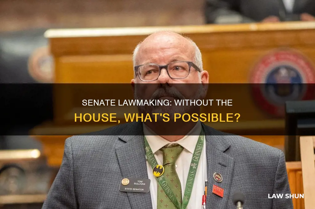 can the us senate pass laws with ot the house