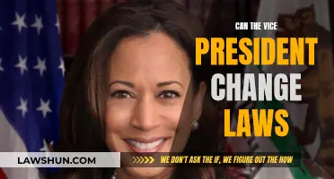 Vice President's Power: Can They Change Laws?