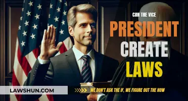 Vice President's Power: Lawmaking Ability Explored