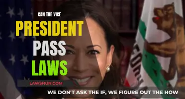 Vice President's Power: Law Passing Explained