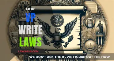 The VP's Role: Law Writer or Supporter?