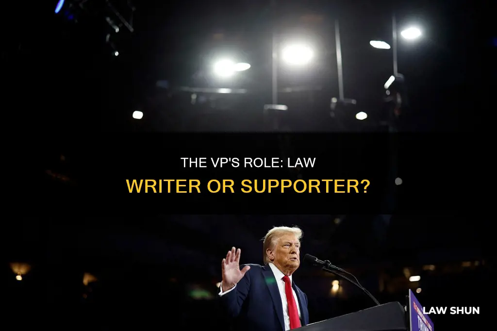 can the vp write laws