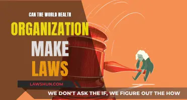 WHO's Role: Lawmaking Power or Advisory?