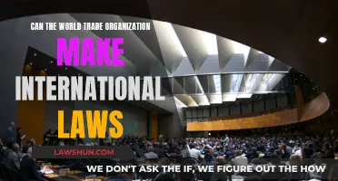 WTO's Power: Creating International Laws?