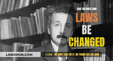 Theories and Laws: Immutable or Evolving?