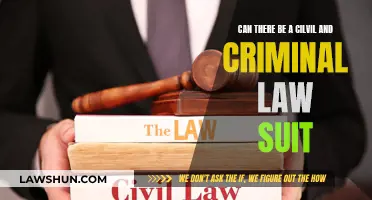 Civil and Criminal Law: Dual Legal Trouble?