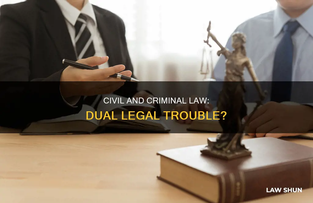 can there be a cilvil and criminal law suit