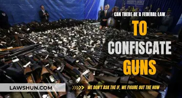 Federal Gun Confiscation: Law and Order?