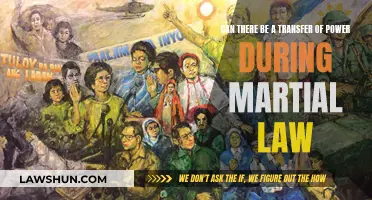 Martial Law: Power Transfer Possibility Explored