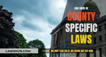 County-Specific Laws: A Legal Conundrum?