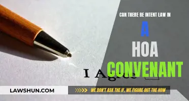 HOA Covenants: Intent Law's Place