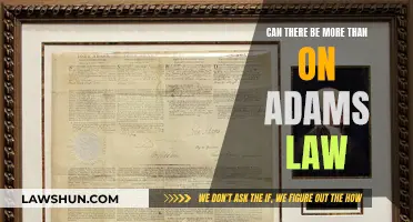 Adam's Law: Exploring Multiple Legal Perspectives