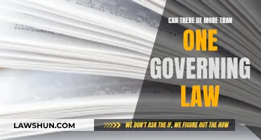 Governing Laws: Multiple or Singular?
