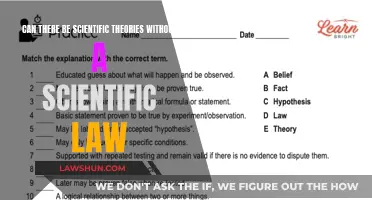 Theories Without Laws: Scientific Possibility?