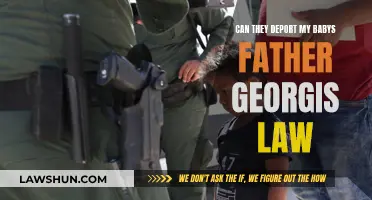 Deporting Baby's Father: Understanding Georgia's Immigration Law