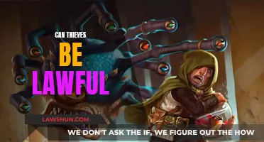 Thieves' Lawful Behavior: Myth or Reality?