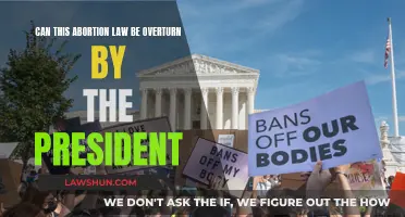 The President's Power: Overturning Abortion Laws