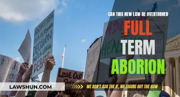 Full-Term Abortion: Can New Law Be Overturned?