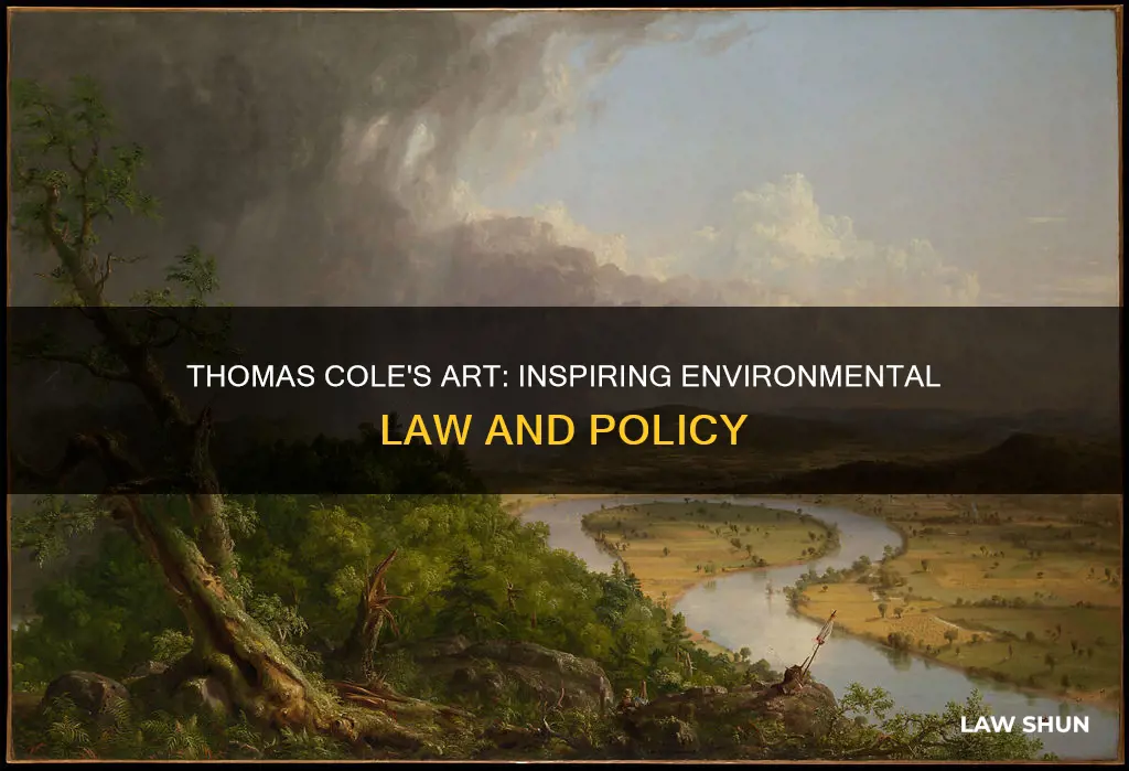 can thoams cole paintings be used for writing envronmental laws