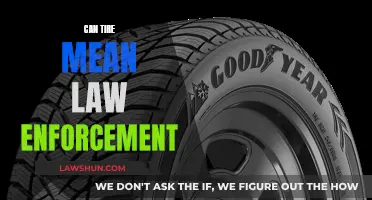 Tire's Double Meaning: Law Enforcement Lingo Explained