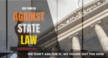 Towns' Rights: State Law and Local Power
