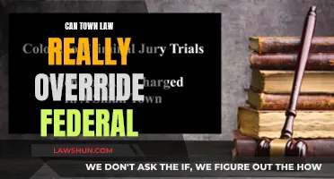 Town Law vs Federal Law: Who Wins?