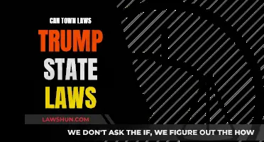 Town Laws: Overriding State Laws?