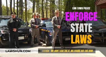 Town Police and State Laws: Who Enforces What?
