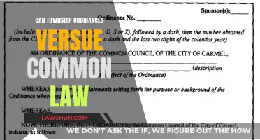 Township Ordinances: Common Law's Foe or Friend?