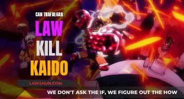 Law vs. Kaido: Who Would Win in a Fight?