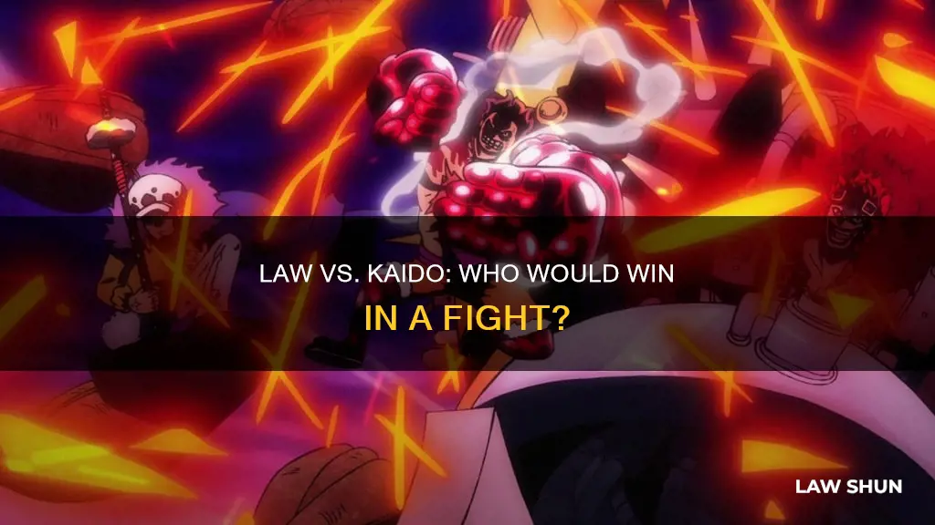 can trafalgar law kill kaido