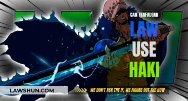 Law's Power: Haki or Devil Fruit?