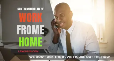 Transition Law: Work from Home Possibilities?