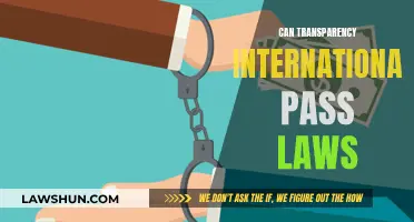 Transparency International: Law-making Power or Not?