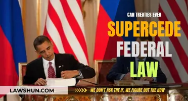 Treaties vs Federal Law: Who Wins?