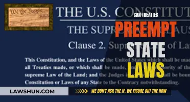 Treaties' Power: Can They Preempt State Laws?