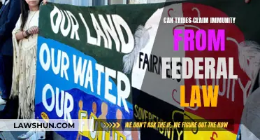Tribal Immunity: Federal Law's Reach and Limits