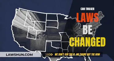 Trigger Law Reform: Can We Change the Narrative?