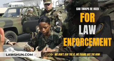 Troop Deployment: Law Enforcement's Friend or Foe?