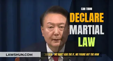 Martial Law: Can Trump Declare It?
