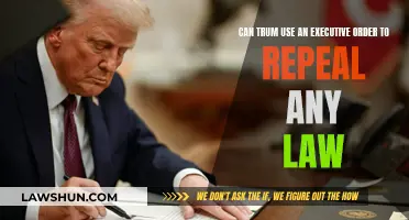 Executive Orders: Can Trump Override Laws?
