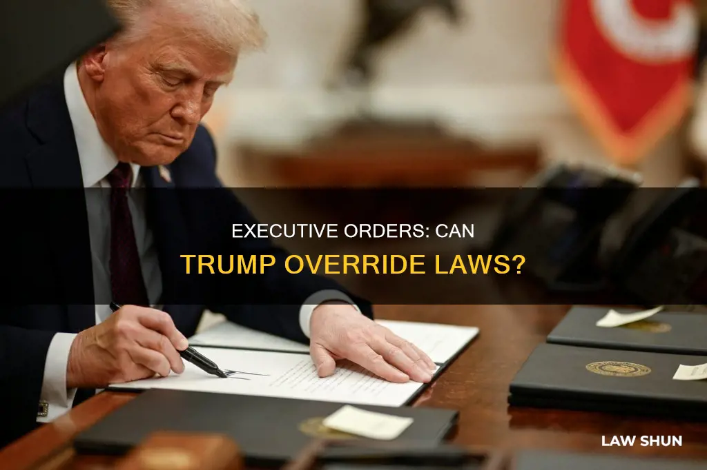 can trum use an executive order to repeal any law